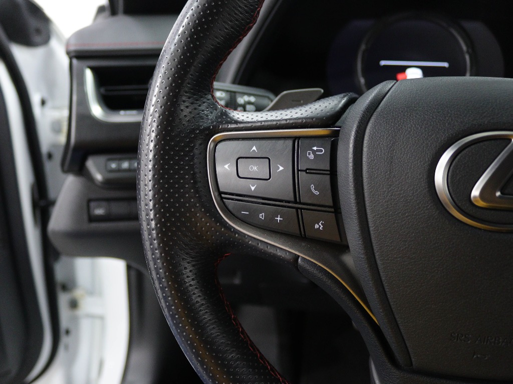 LEXUS UX 250H F SPORT full